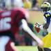 Michigan quarterback Devin Gardner looks to pass the ball during the first quarter of the Outback Bowl at Raymond James Stadium in Tampa, Fla. on Tuesday, Jan. 1. Melanie Maxwell I AnnArbor.com